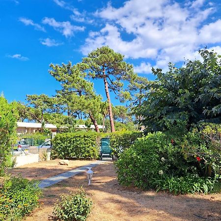 Mini Villa Jardin 50 M Plage Borgo  Buitenkant foto