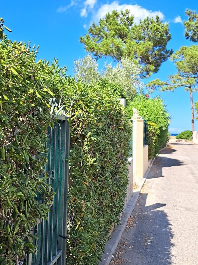 Mini Villa Jardin 50 M Plage Borgo  Buitenkant foto
