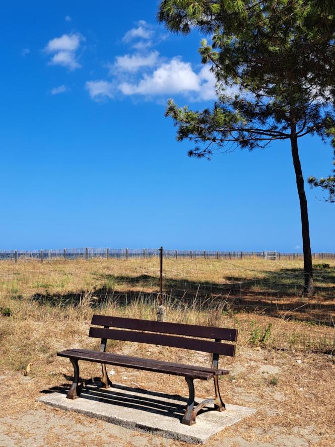 Mini Villa Jardin 50 M Plage Borgo  Buitenkant foto