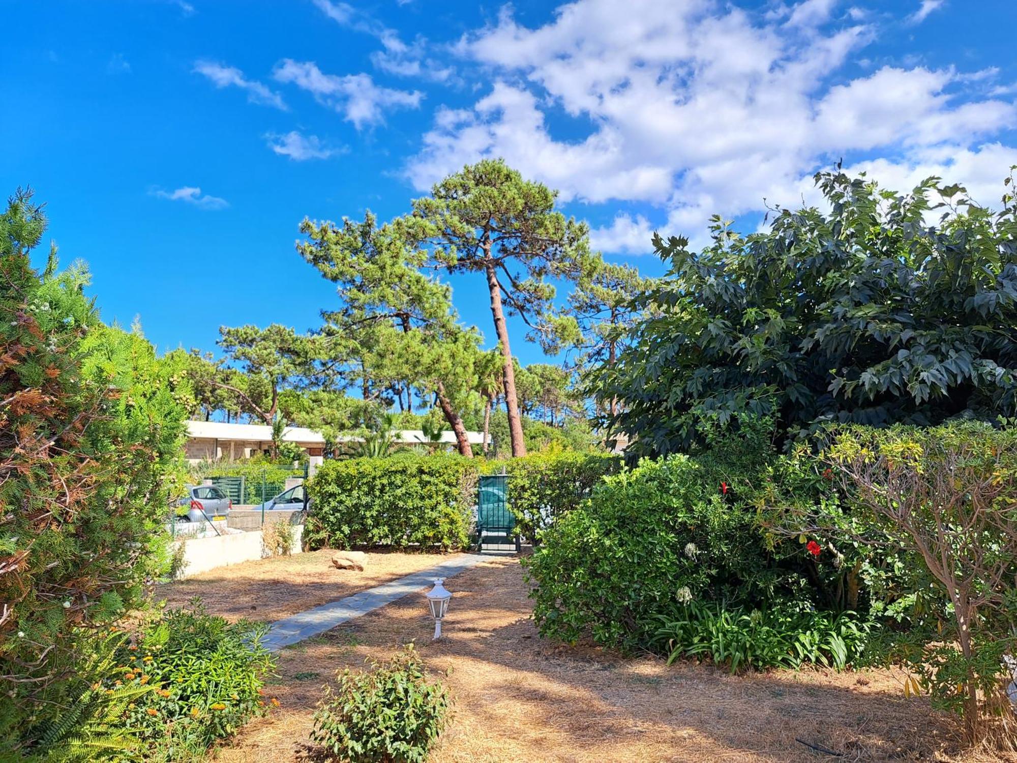 Mini Villa Jardin 50 M Plage Borgo  Buitenkant foto