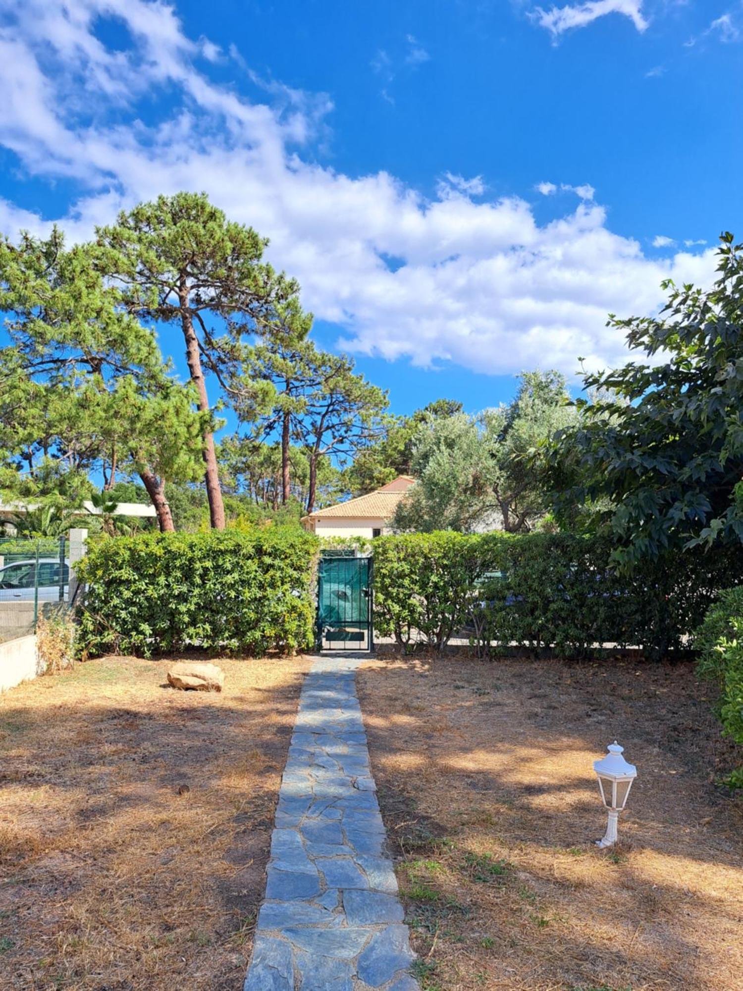 Mini Villa Jardin 50 M Plage Borgo  Buitenkant foto