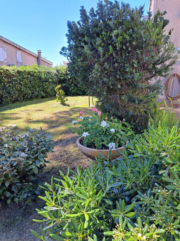 Mini Villa Jardin 50 M Plage Borgo  Buitenkant foto