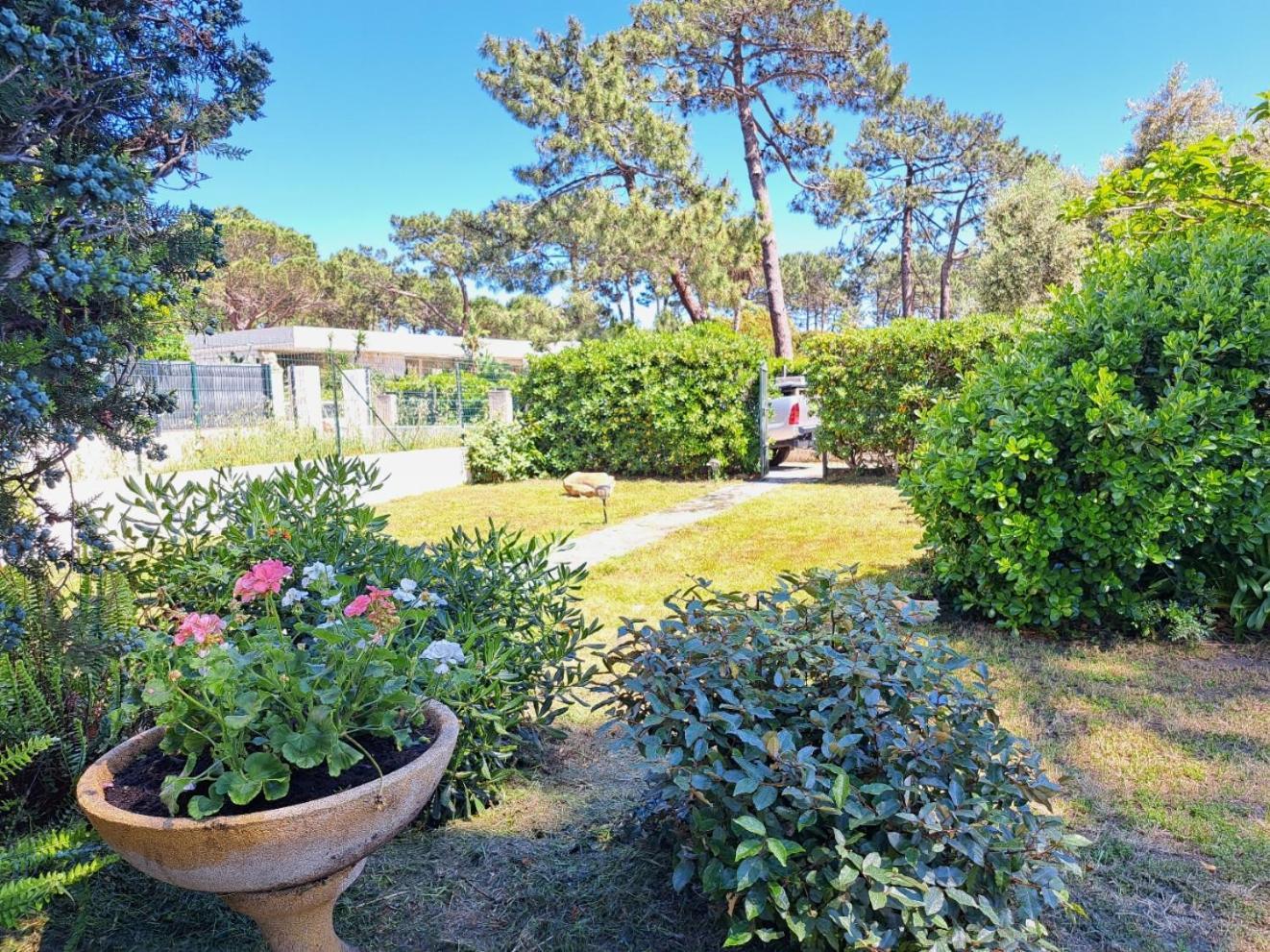 Mini Villa Jardin 50 M Plage Borgo  Buitenkant foto